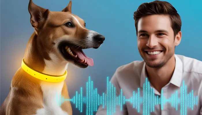 How to Choose the Right Dog Bark Translator? How to Choose the Right Dog Bark Translator?